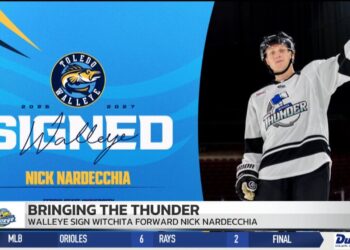 Walleye Sign Former Ferris State Forward Nick Nardecchia