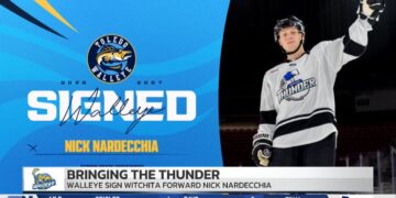 Walleye Sign Former Ferris State Forward Nick Nardecchia