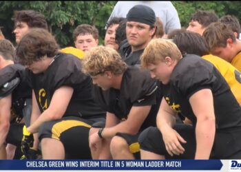 2026 High School Football Previews: Northview Wildcats