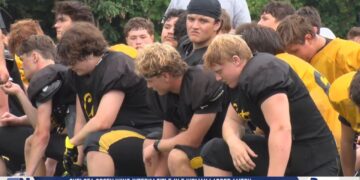 2026 High School Football Previews: Northview Wildcats