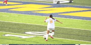 Mira Ziemke’s Magic Leads Northview To 11-0 Blowout Of Whitmer