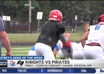 Gems Of The Week: St. Francis at Perkins