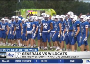 Godfreys Gems of the Week: Anthony Wayne at Napoleon