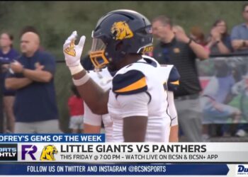 Godfrey’s Gems of the Week: Fremont Ross at Whitmer