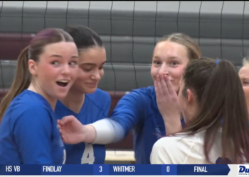 Anthony Wayne and Northview Victorious On The Volleyball Court In Division 2 District Semis