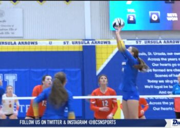 Adrian Falls To Kalamazoo 3-1