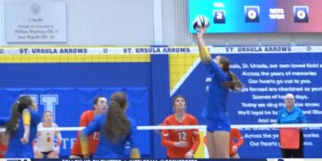 Adrian Falls To Kalamazoo 3-1