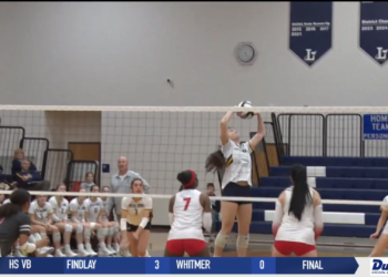Notre Dame Dispatches Central Catholic In 3 Sets, Will Face Bowling Green In District Final