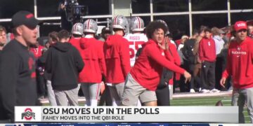 Luke Fahey Next Man Up for OSU QB
