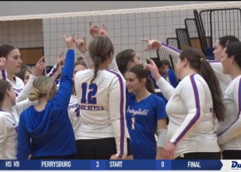 Springfield Volleyball Sweeps To District Final Against Clay