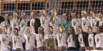 Northview Knocks Off Reigning State Champion Anthony Wayne In District Final